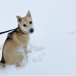 Team Page: Blizzard & 719PrimeProperties